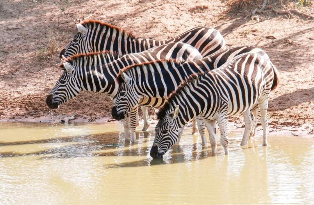 리틀 에덴 세인트 루시아 Saint Lucia Estuary 외부 사진
